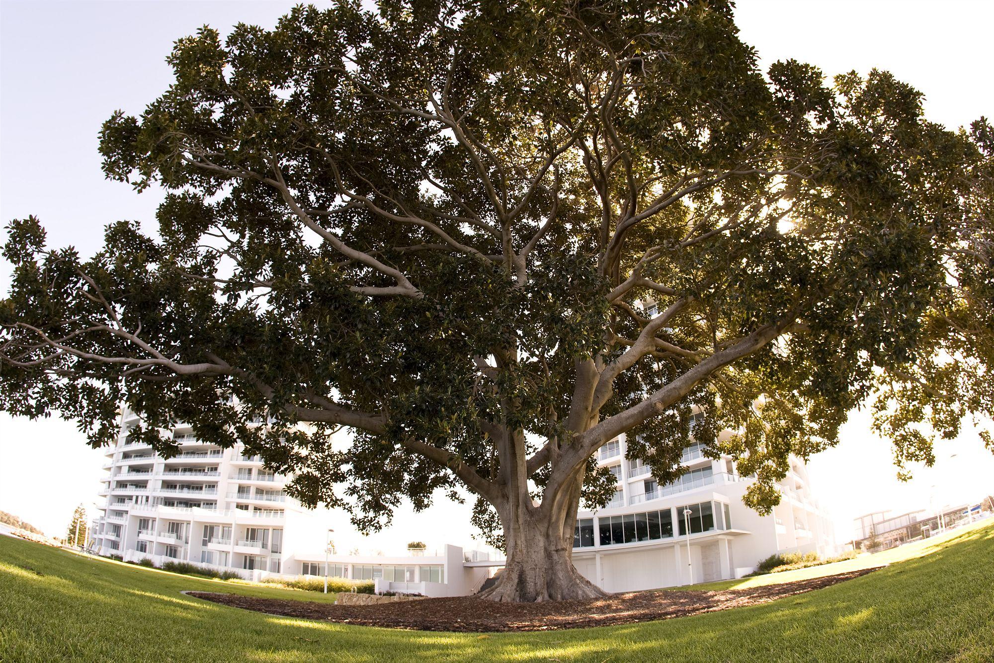Hotel The Sebel Mandurah Exterior foto